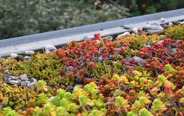 the cost of Balstonia green roof installation