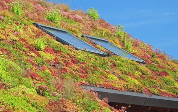 Balstonia living roof systems